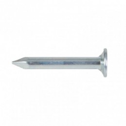 Semences EHS Longitud 10 MM