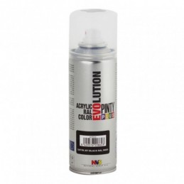 Pintura en spray PINTYPLUS...